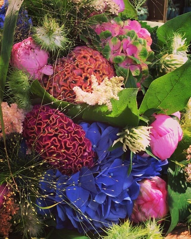 Sommark&auml;nslorna har fullkomligt blomstrat denna veckan, Mer skall det bli f&ouml;r nu &auml;r det FREDAG!!🦋🥂💕☀️
.
.
.
.
.
#sommark&auml;nslor #summerbouquet #celosia #hortensia #peonies #nigella #juni #prinsgatan #fioribilden #interi&ouml;r #