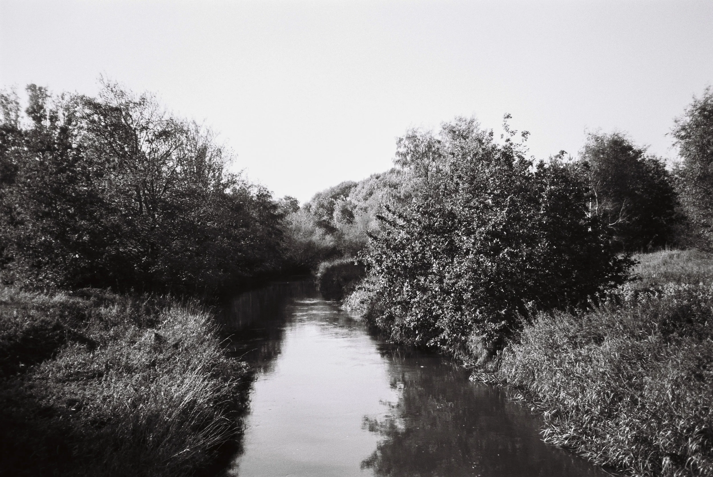 Ilford PanF50/Olympus Mju lll