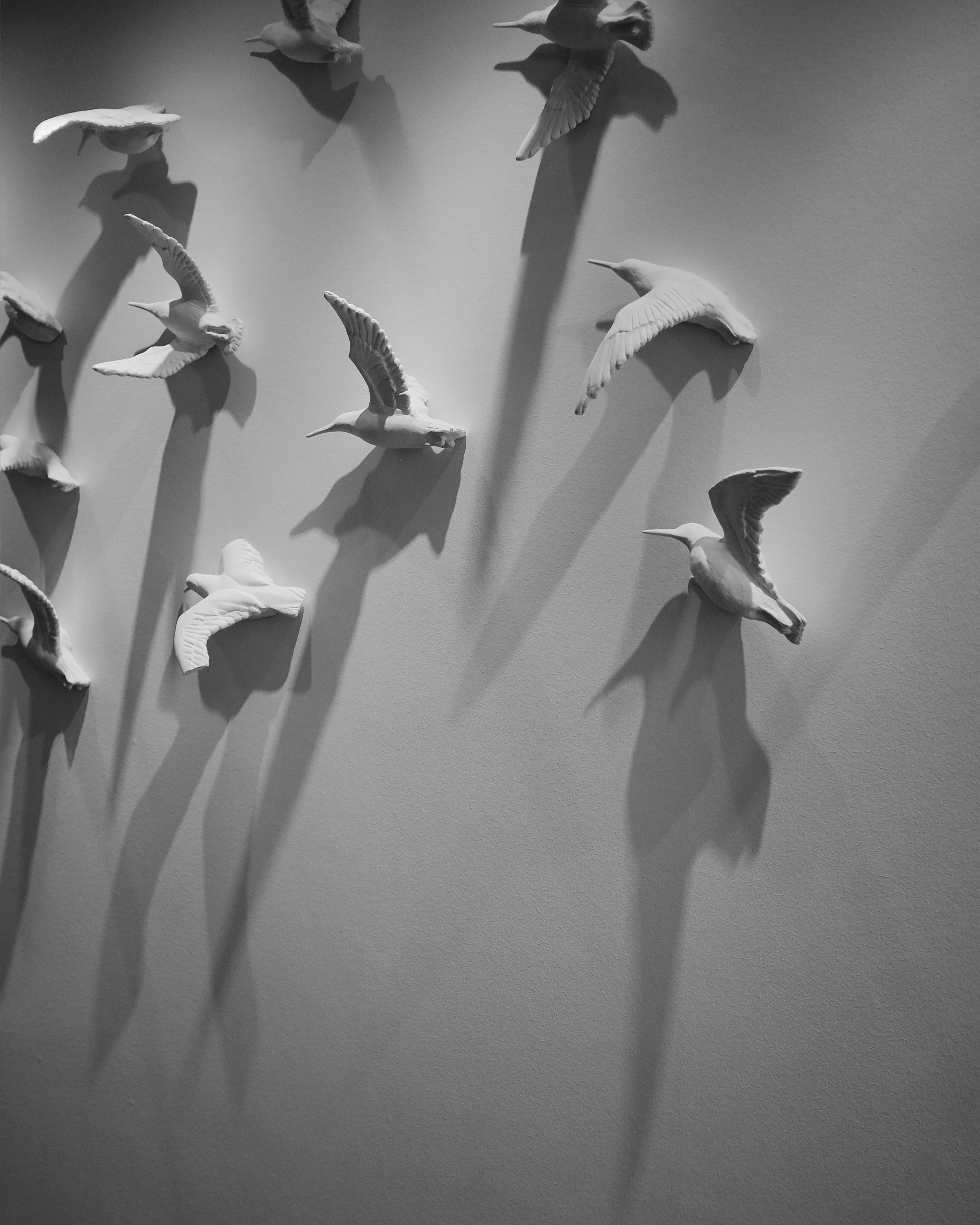 Bird installation