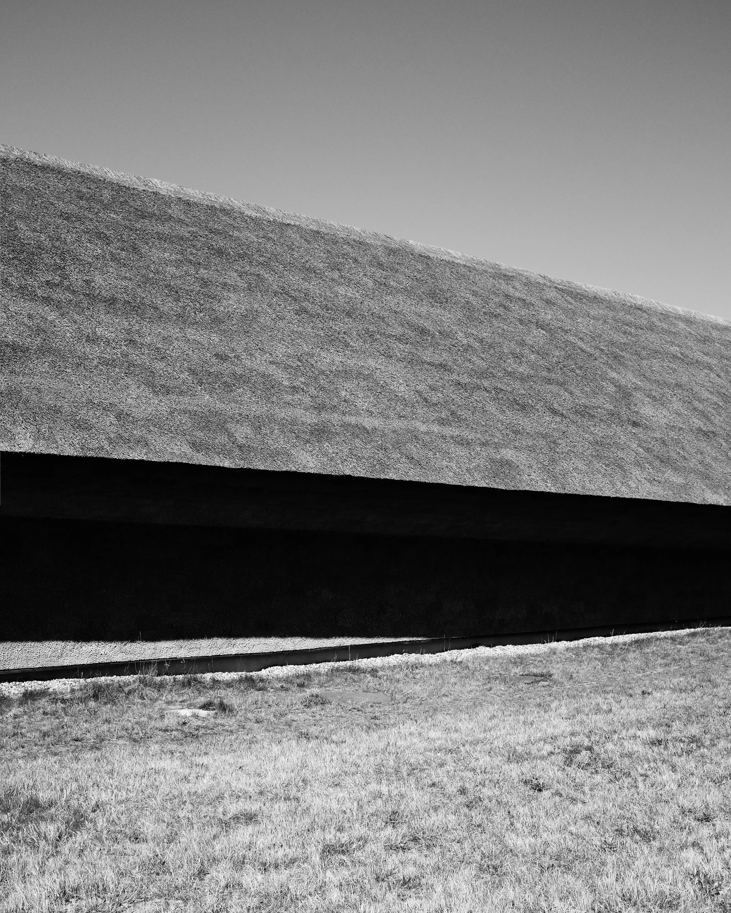 Thatch buildings