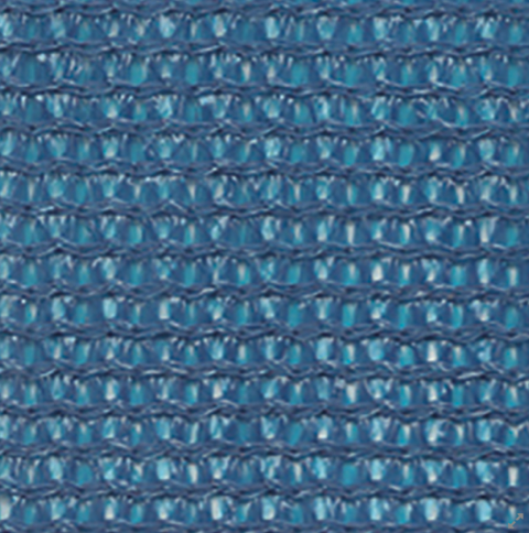 Copy of Copy of BLUE_491656da-aa0d-4e84-bf16-da7127c8840b.png