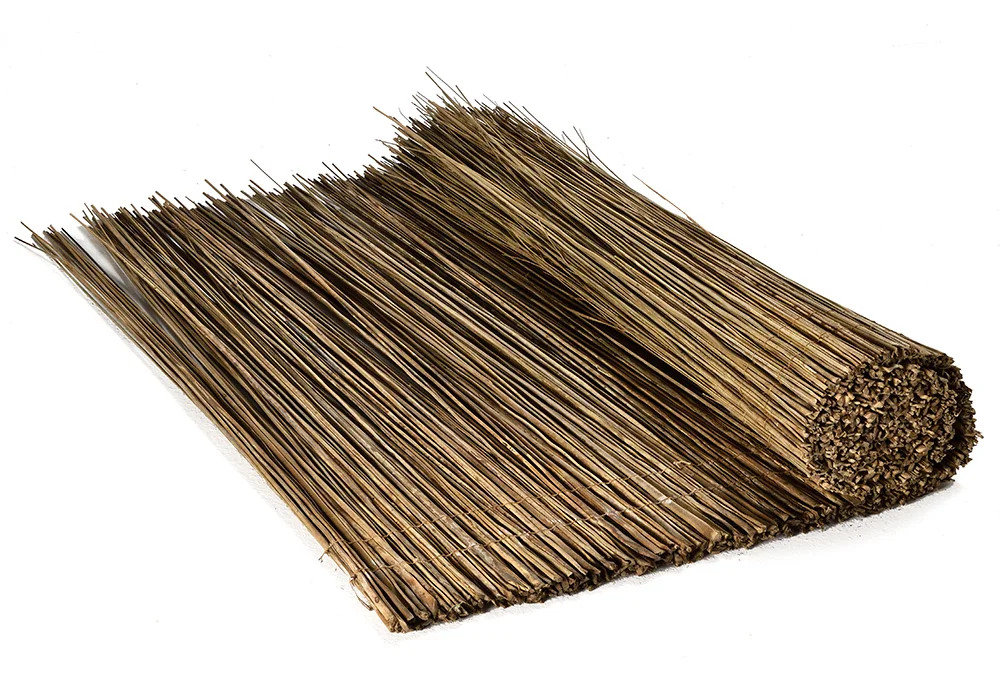 linti.jpg