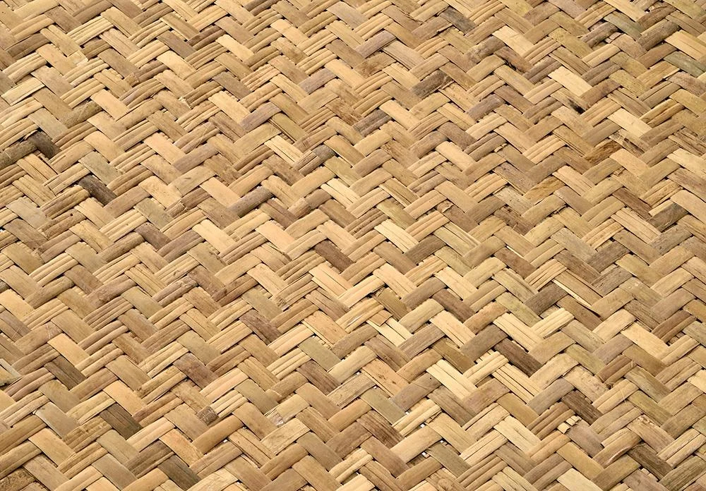 duanbamboo.jpg