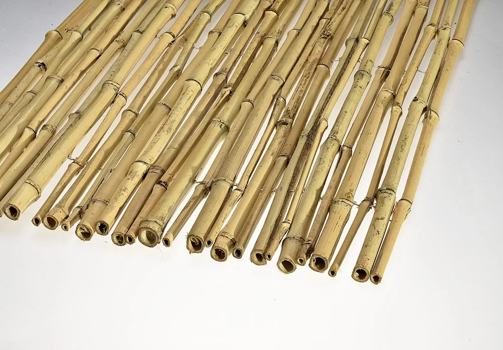 bamboo_white_.jpg