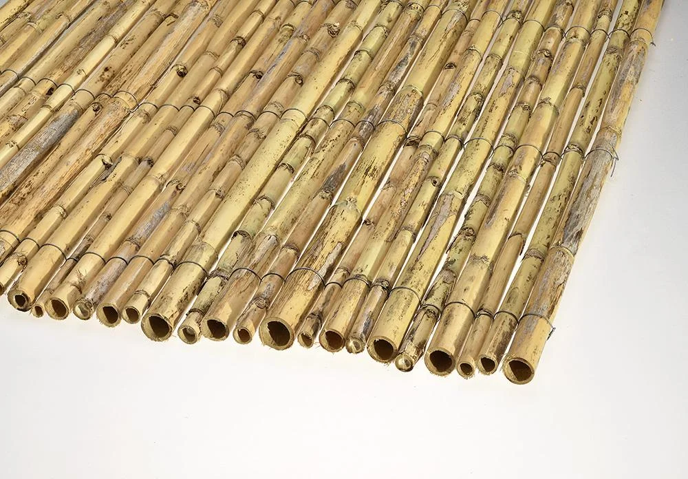 Greek Cane