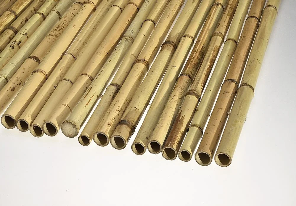 whitebamboodrilled.jpg