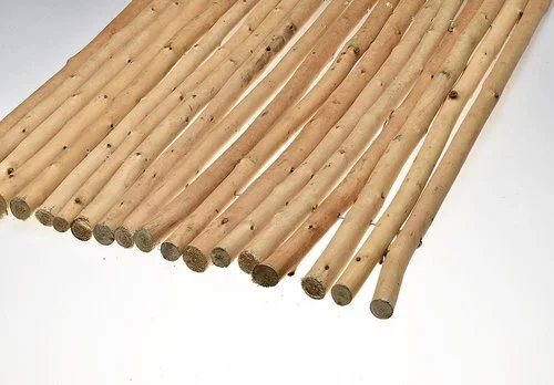 willowpeeled-2.jpg