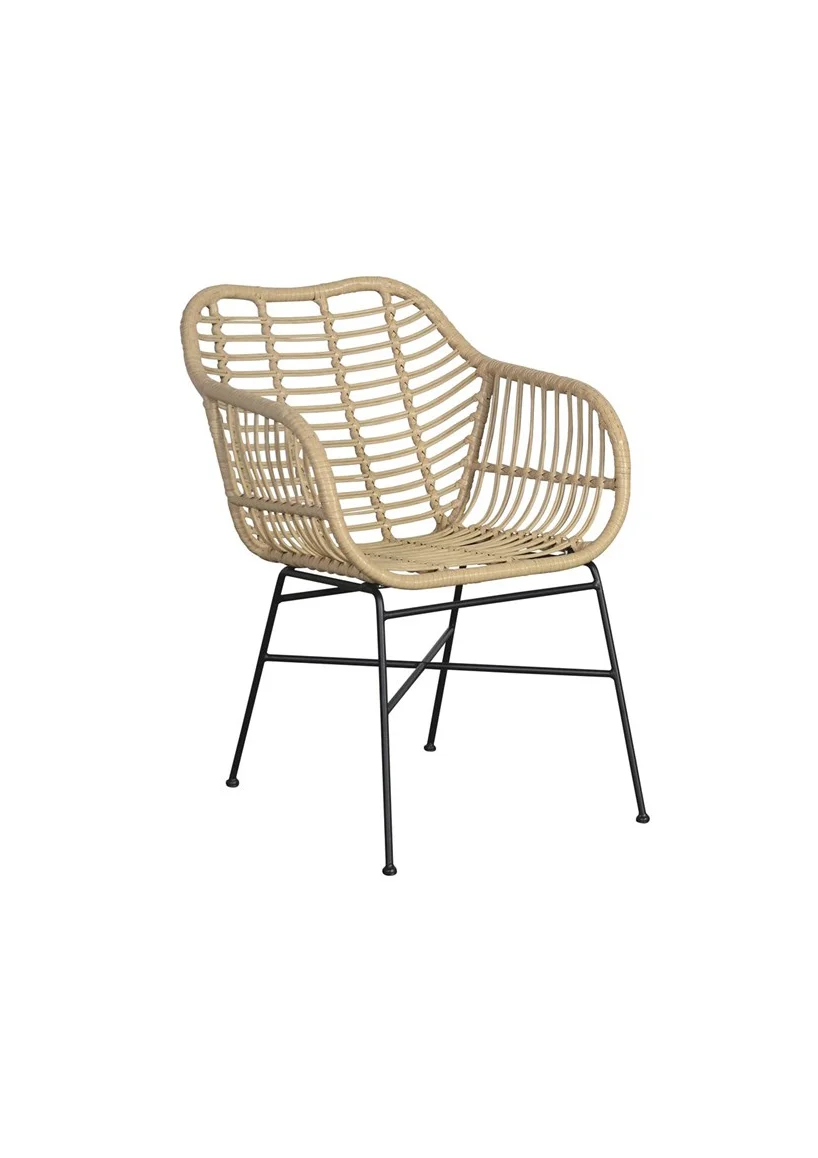 ARTGROUP_CHAIR_RATTAN_METAL.jpg