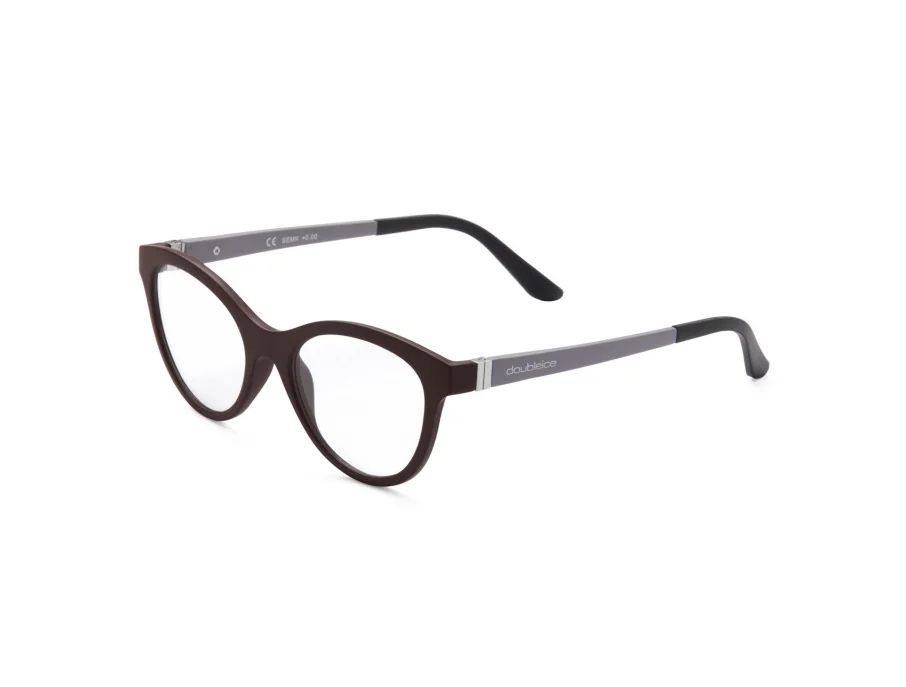 READING GLASSES 5