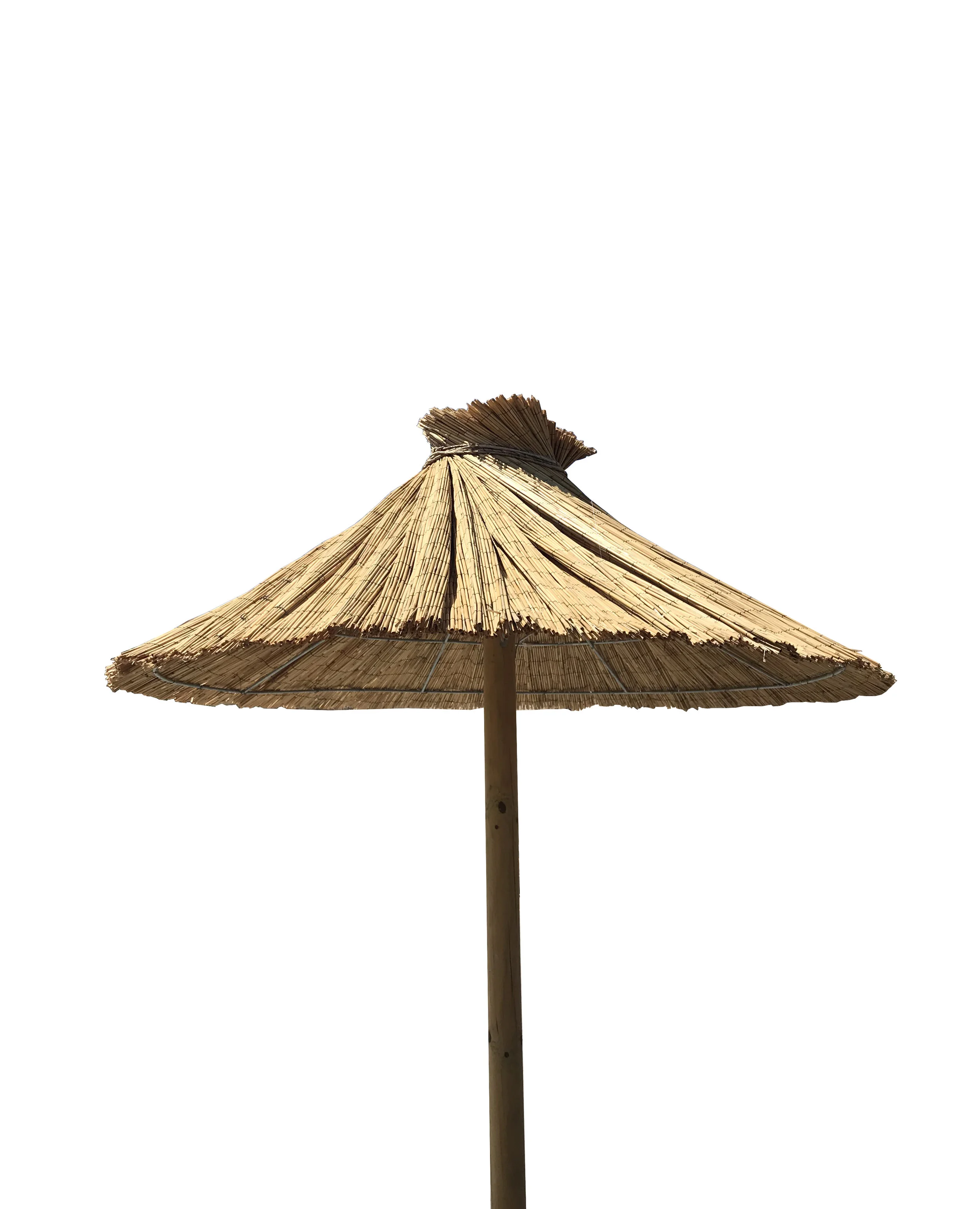 artgroup_13040.jpg