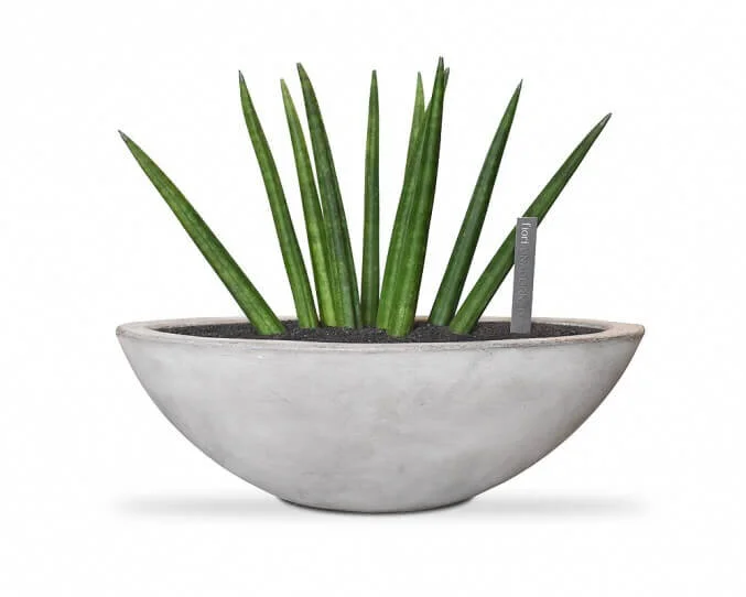 ARTIFICIAL PLANTS