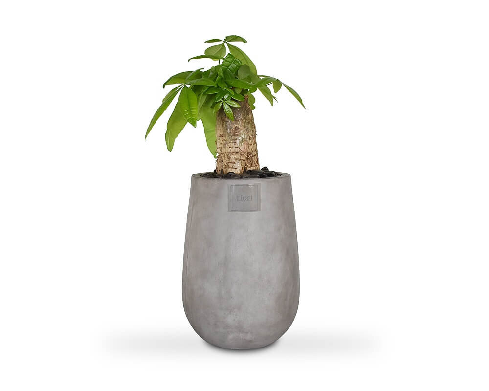 PLANTERS &amp; POTS