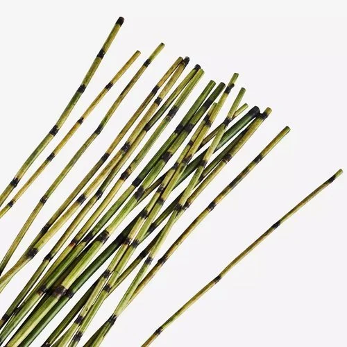 ARTBAMBOO.jpg