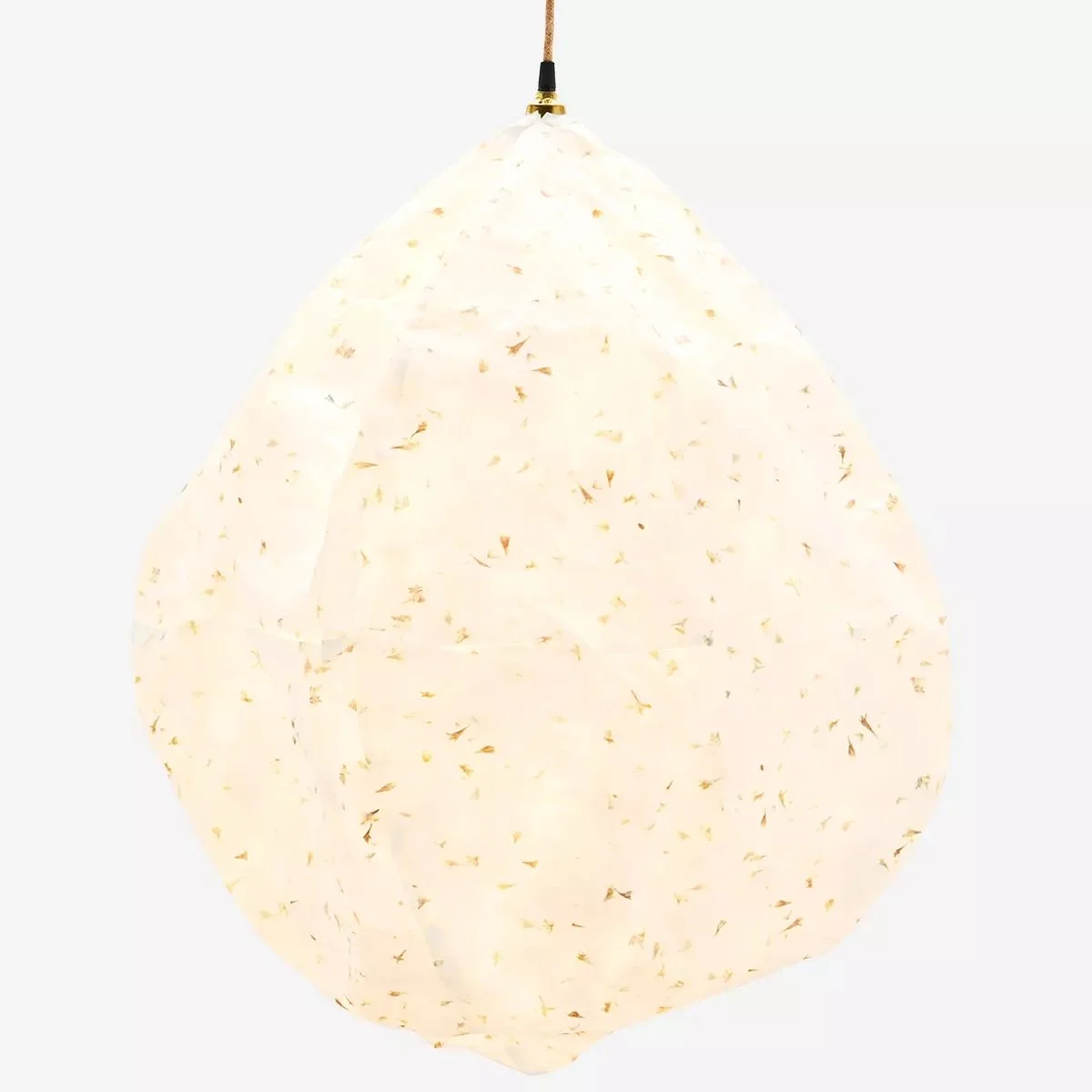 LAMP.jpg