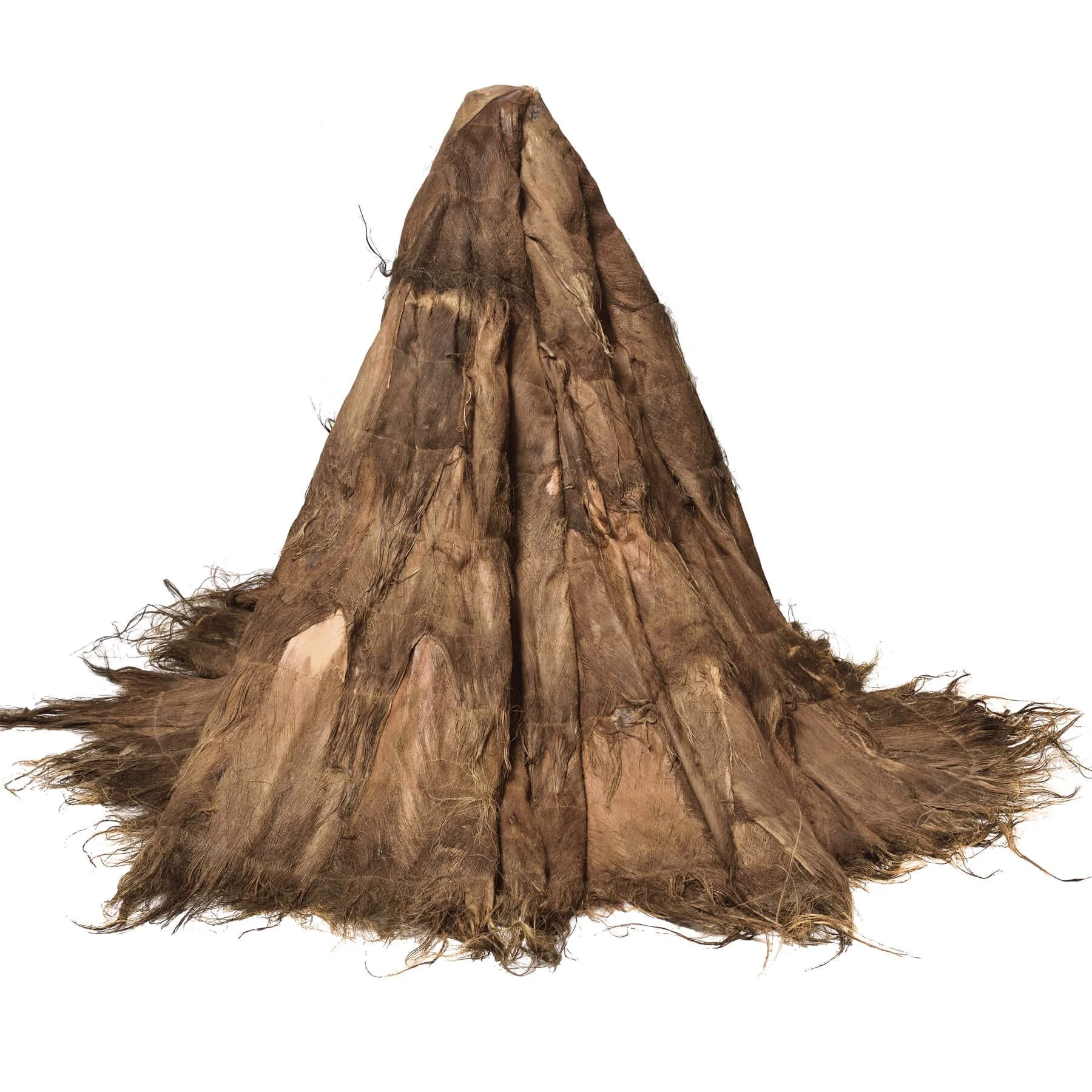 Cocopalm.jpg