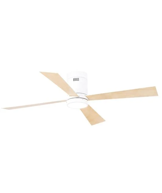 CEILING FAN 01