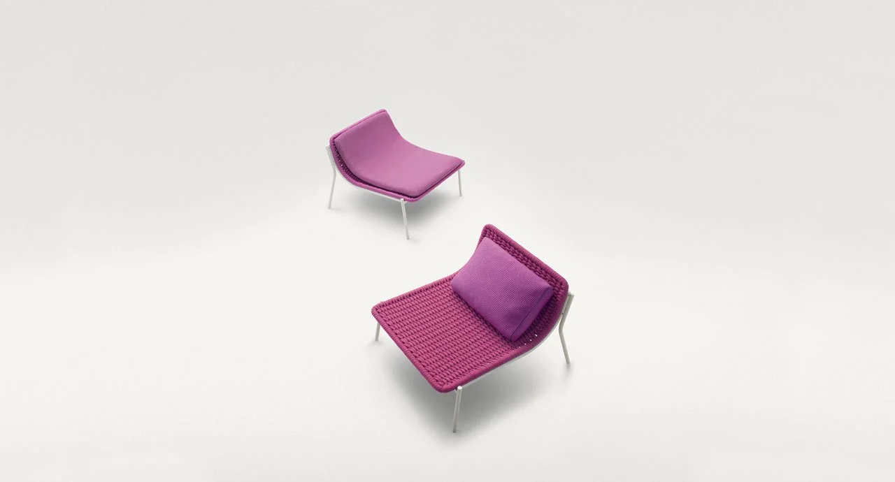 baia_arm_slide1.jpg