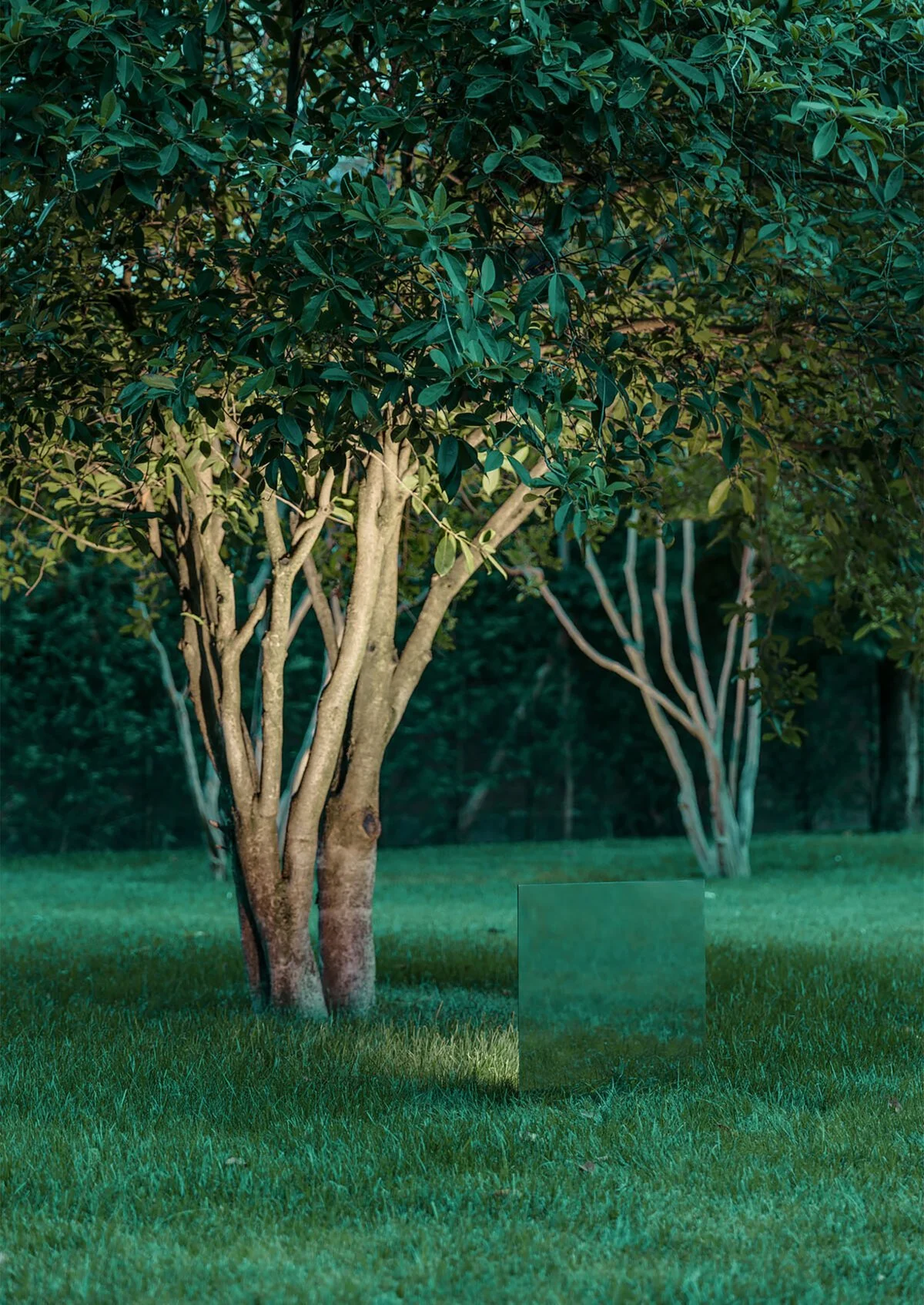 BELLADINOTTE_04.jpg