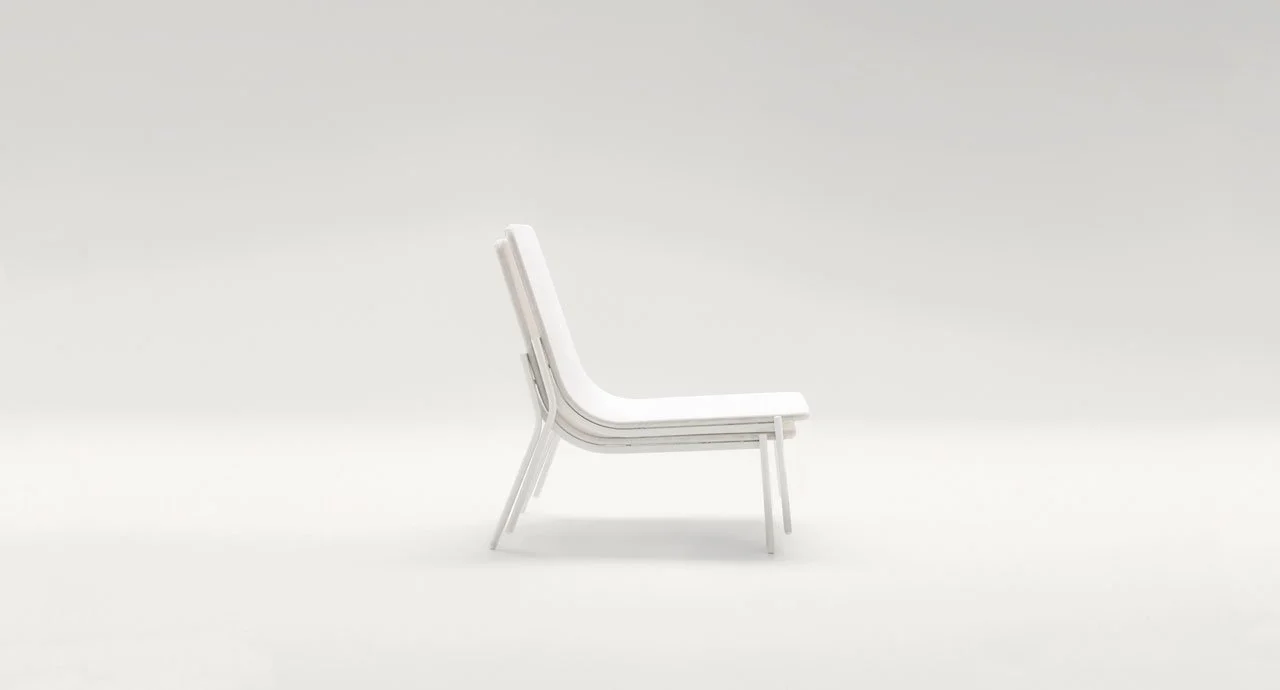baia_arm_slide4.jpg