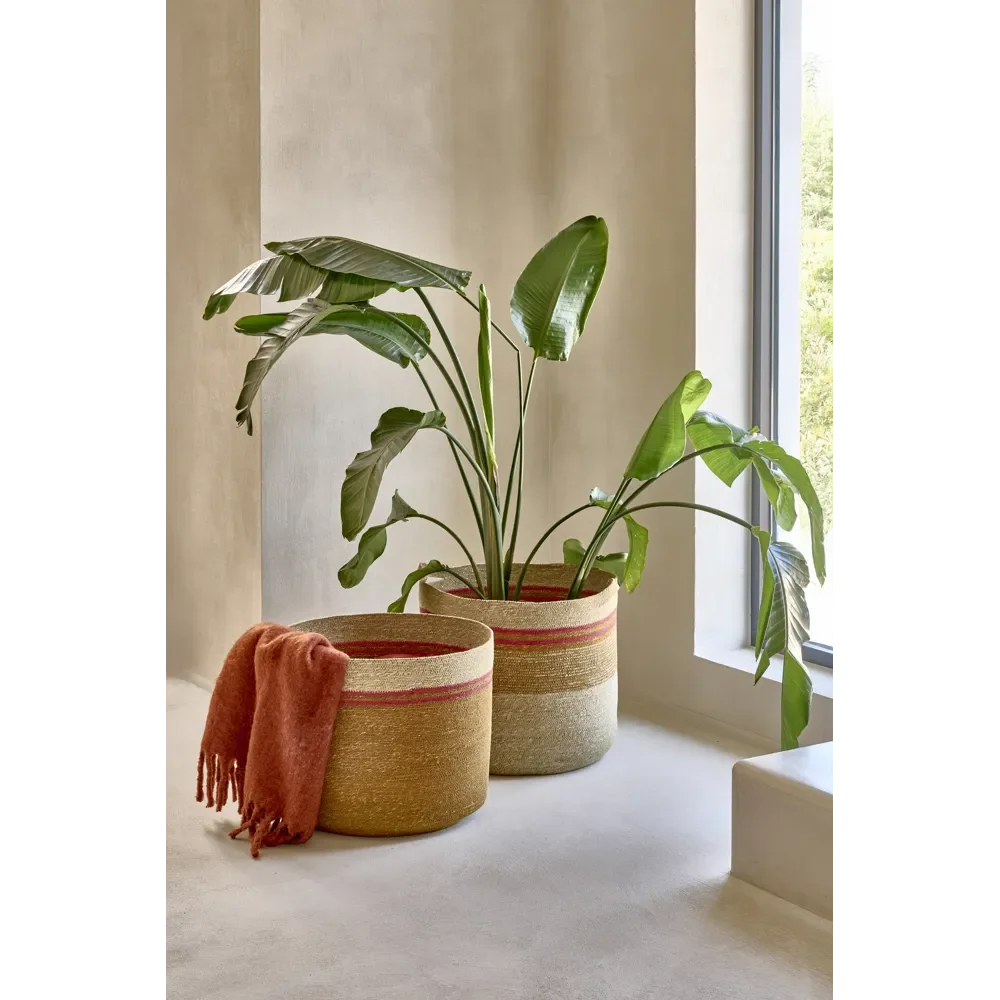 41451-MIX-S3_9.webp