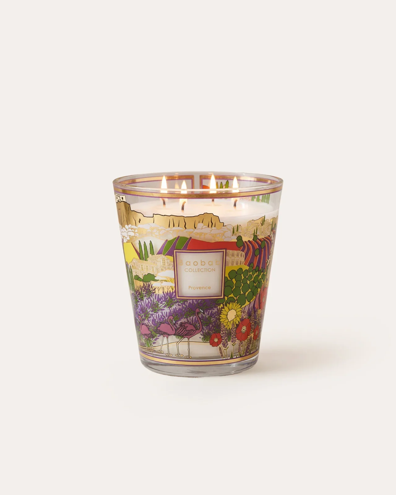 MAX16PROVENCE.webp