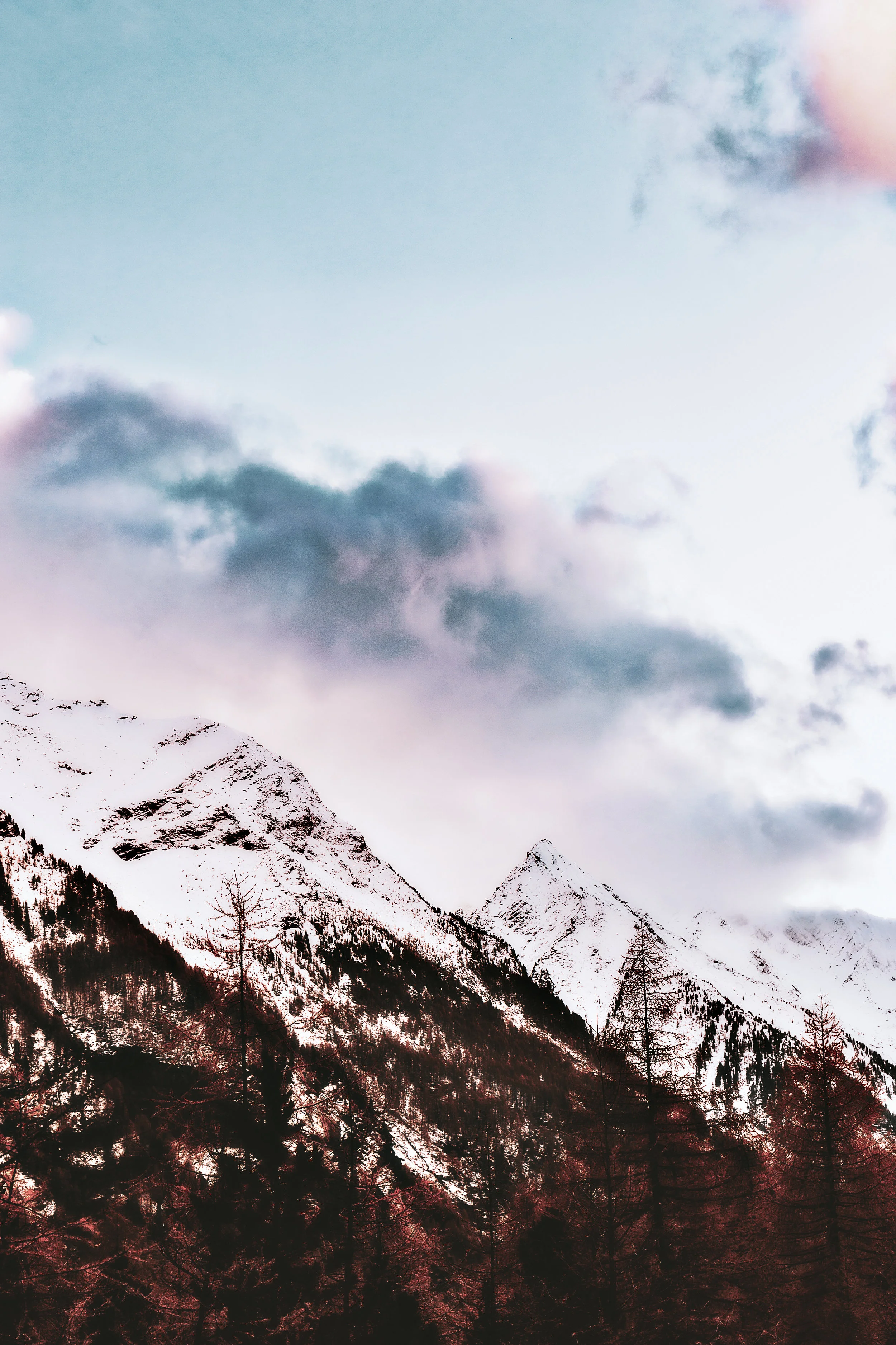 Le cabinet a ouvert ses portes après les vacances  