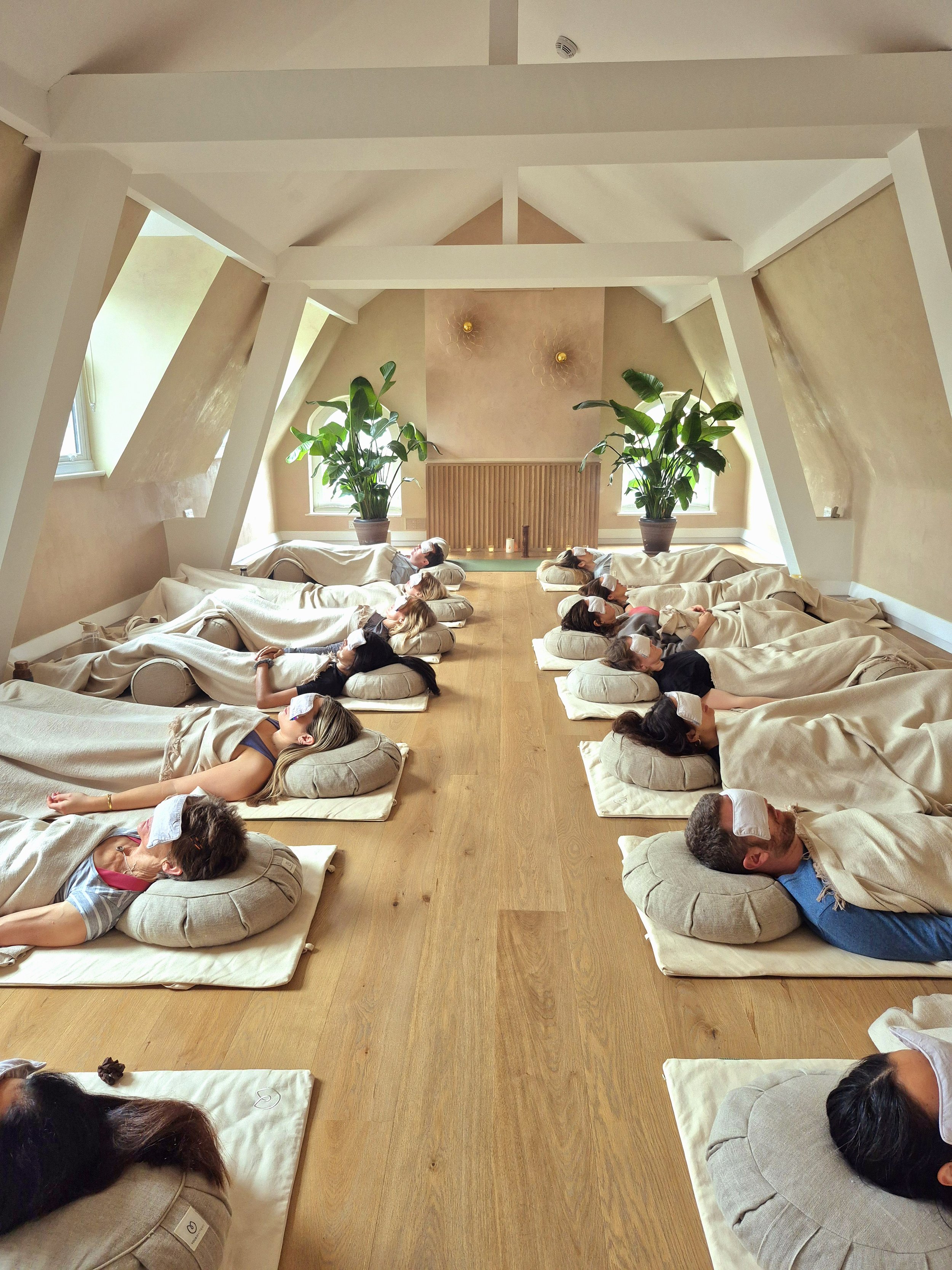 Sunday 22nd February | Sleeping Swans: Stillness, Time and Edge. New Year Yin + Yoga Nidra. Location: Clapham, 1pm -3.00pm