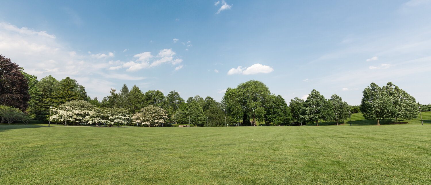 Green-Elephant-Gardens-landscape.jpg