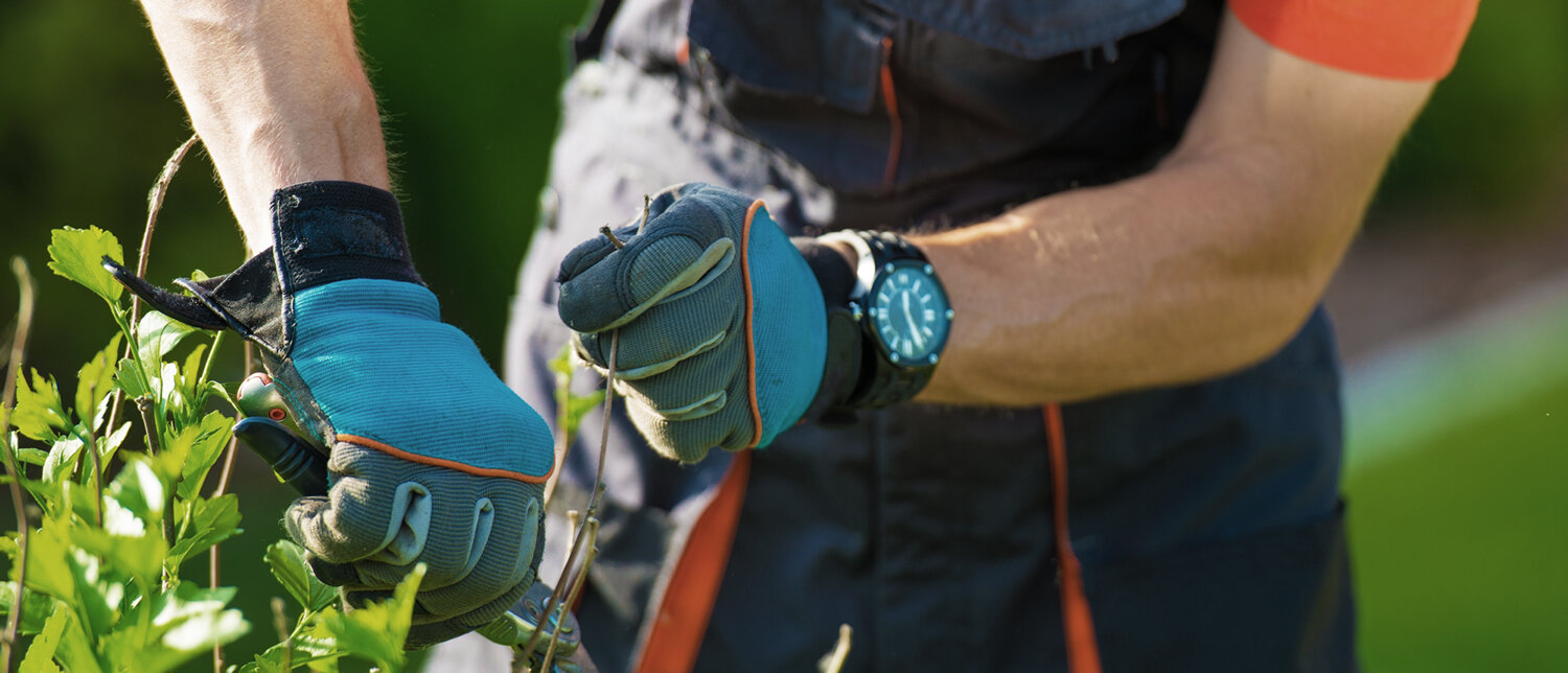 Green-Elephant-Gardens-gardner-hands.jpg