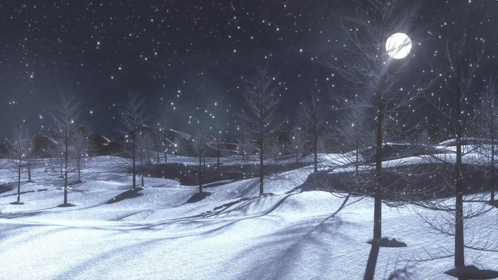 Us desitgem un molt bon Nadal