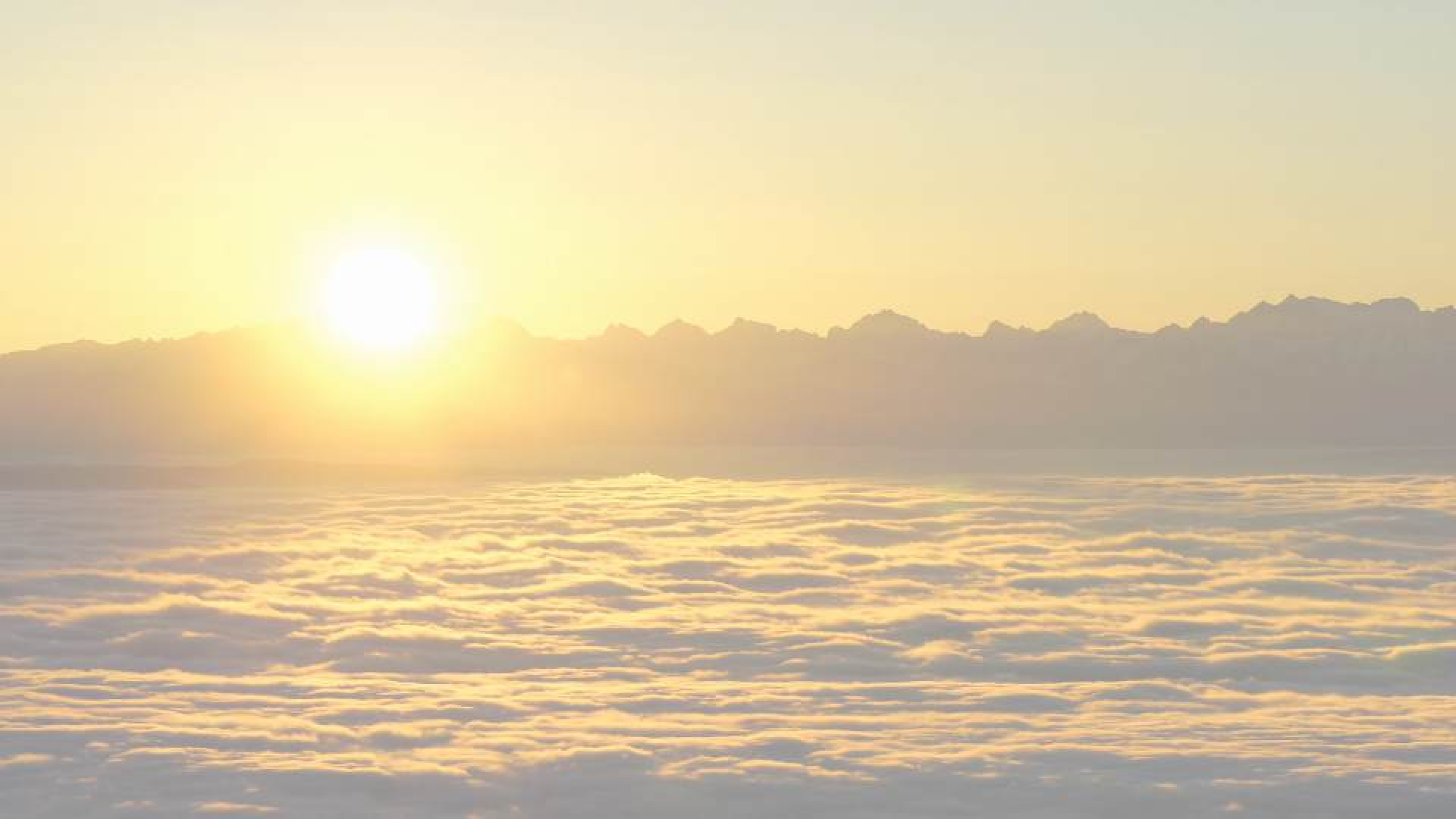 Comencem el 2020 reclamant la independència per la via unilateral