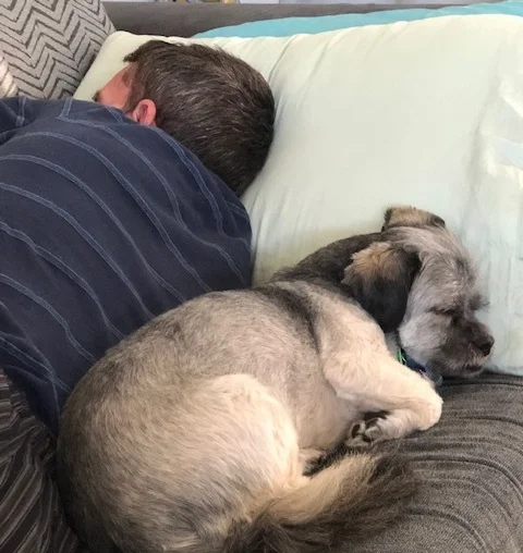 Since Rob was forced onto the couch while I was in the early stages of recovery Gizmo would always make sure to come out in the morning and nap with Rob to keep him company.
