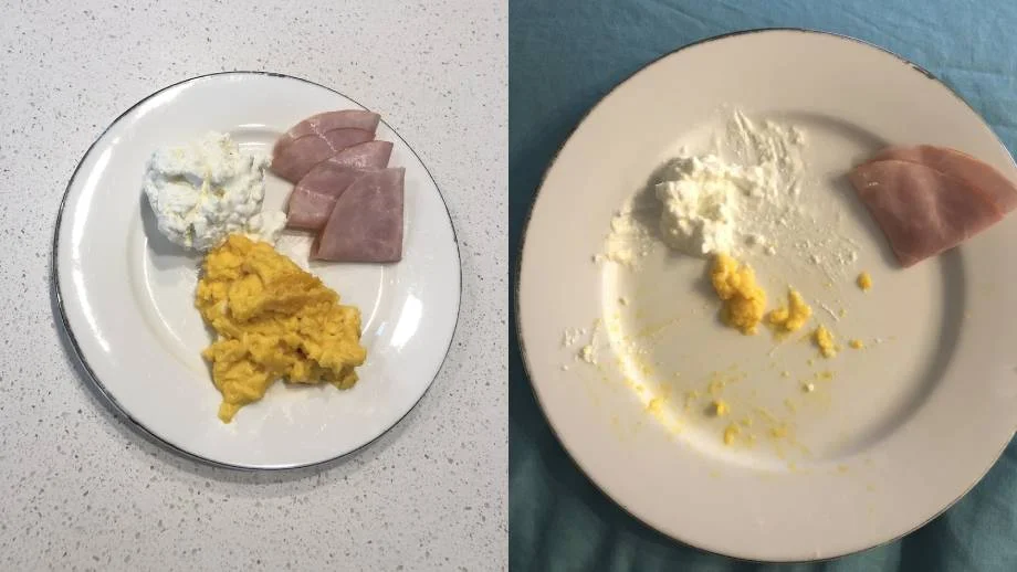 On the Left - A standard dinner on a small side plate. 1 scrambled egg, 1 tablespoon of cottage cheese, 3 slices of finely shaved ham. On the Right - the aftermath of a full half hour spent eating slowly and I was so bloody full!