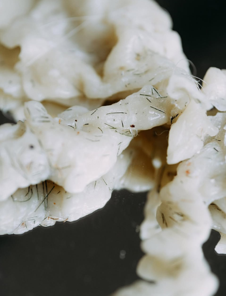 螢幕截圖 2026-03-06 下午10.05.13.png