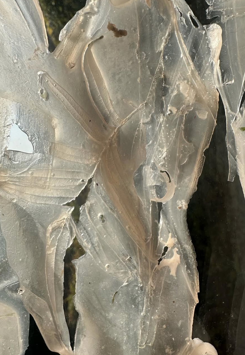 螢幕截圖 2026-03-06 下午10.07.12.png