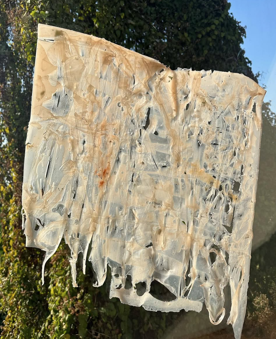 螢幕截圖 2026-03-06 下午10.08.09.png