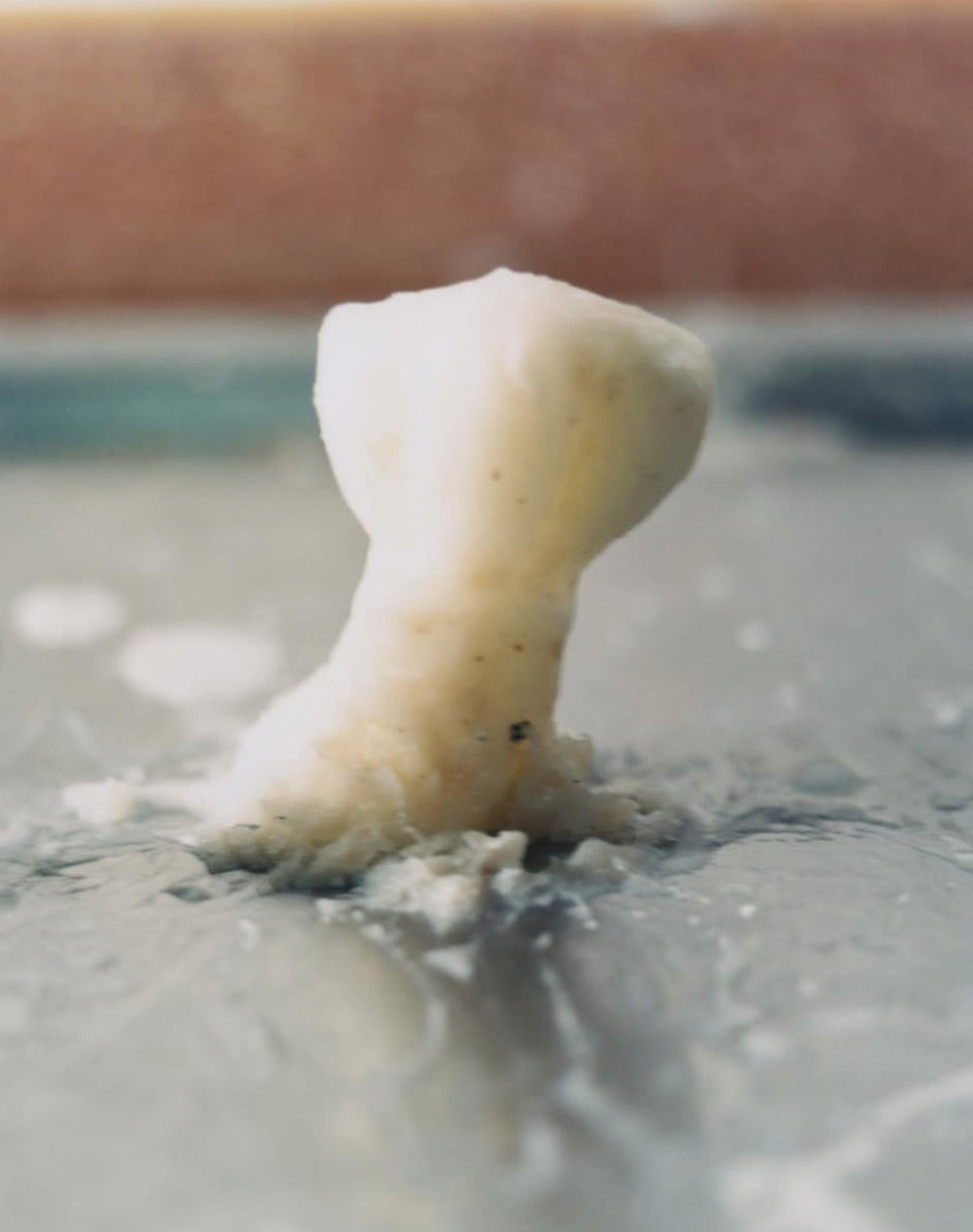 螢幕截圖 2026-03-06 下午10.09.17.png