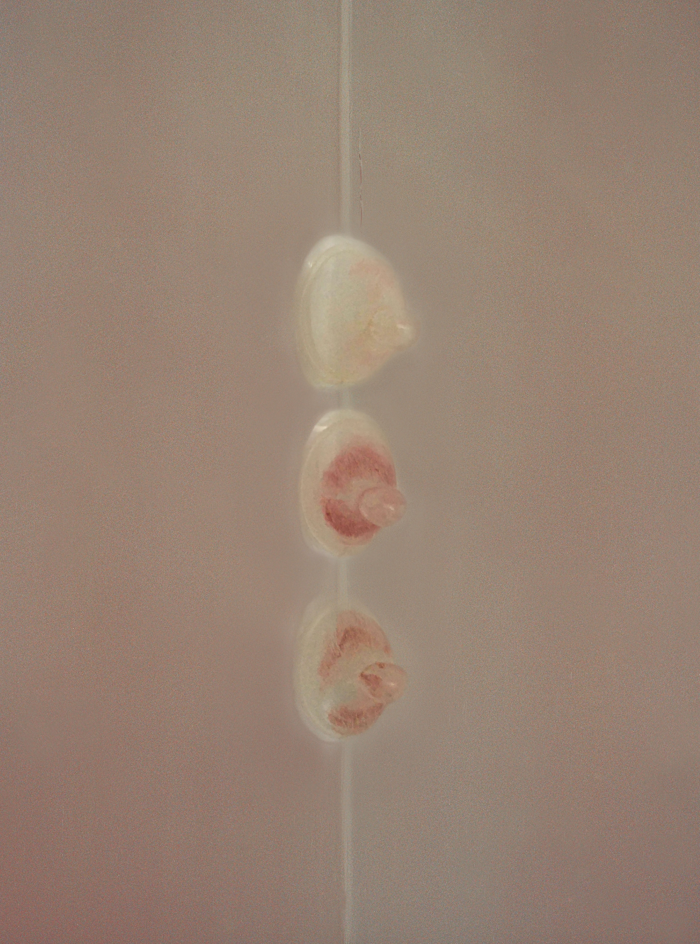 螢幕截圖 2026-03-07 上午10.20.26.png