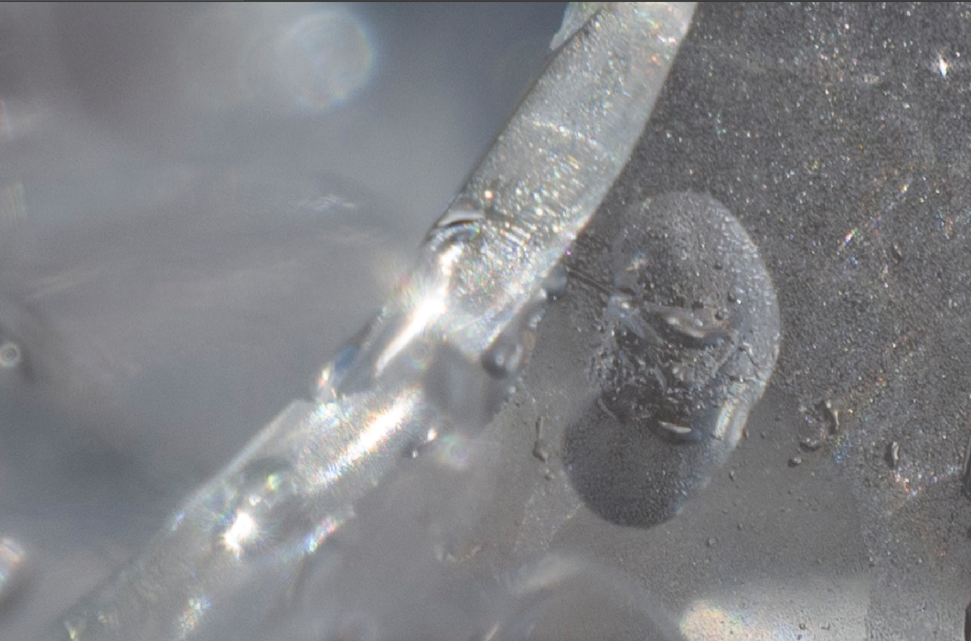 螢幕截圖 2026-03-12 下午1.03.46.png