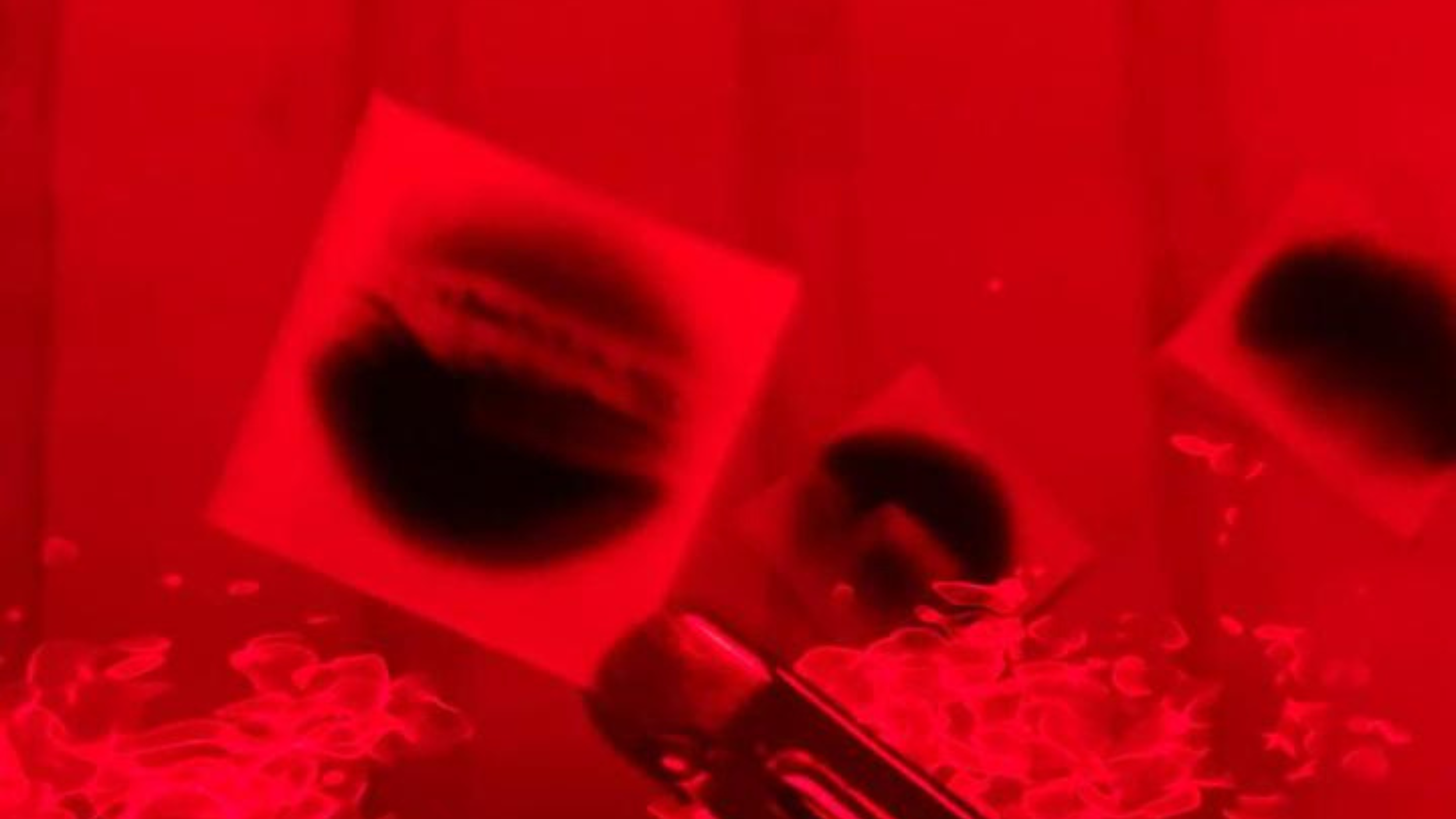 Workshop - Camera Obscura met Cato