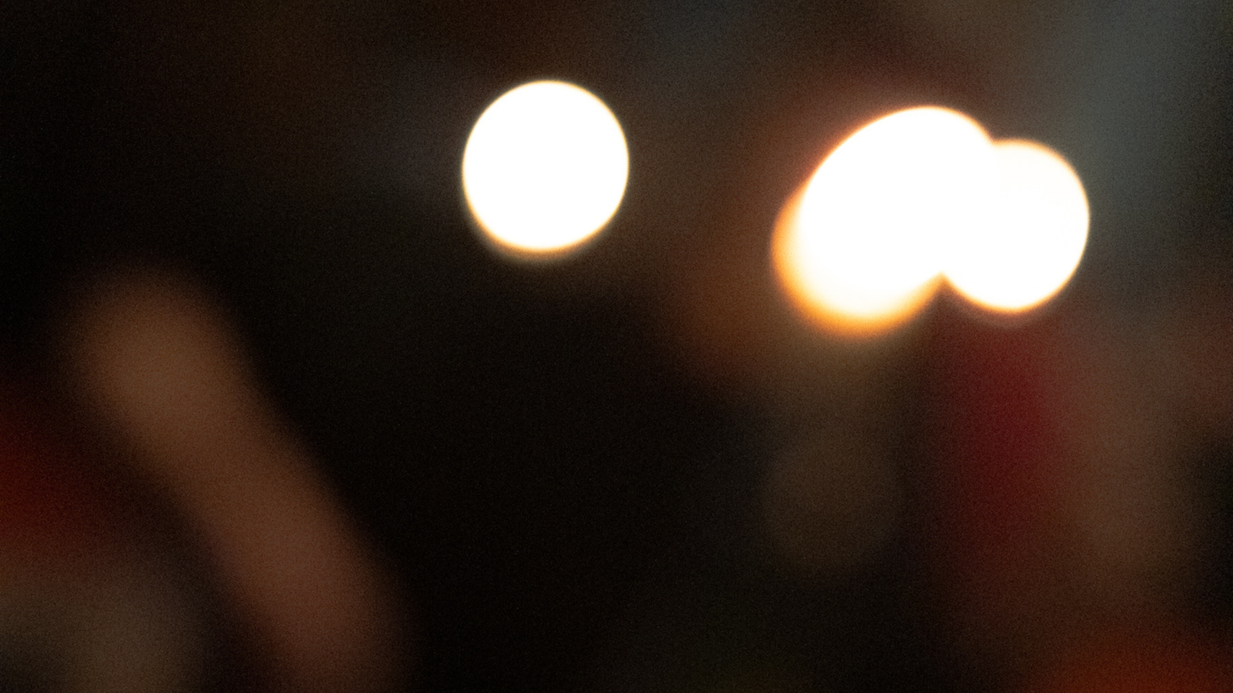 Talk - Plantrekkers: Young Professionals