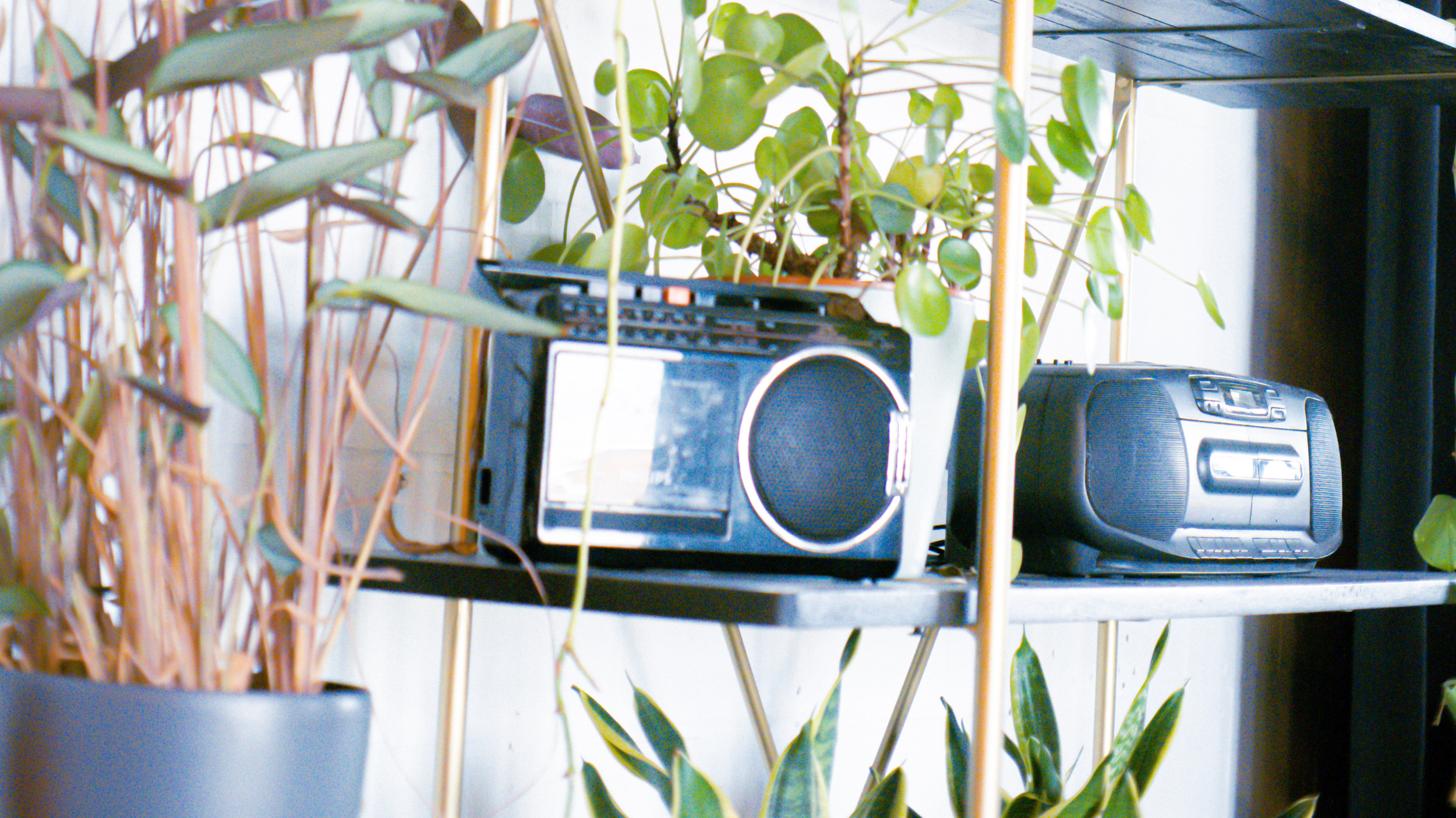 Bardag: Radio ACCU invites shopping4