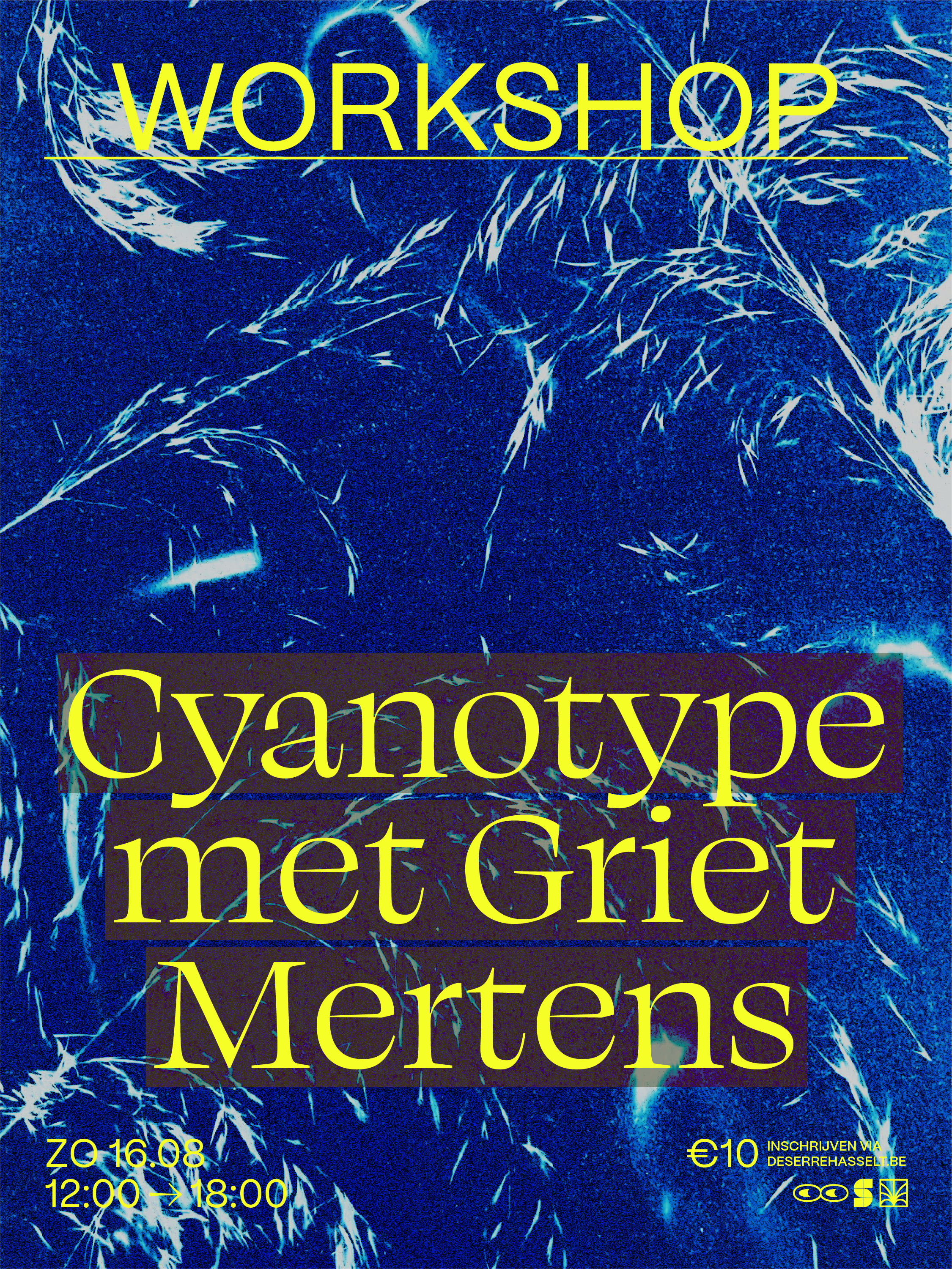 Workshop: Cyanotype met Griet Mertens