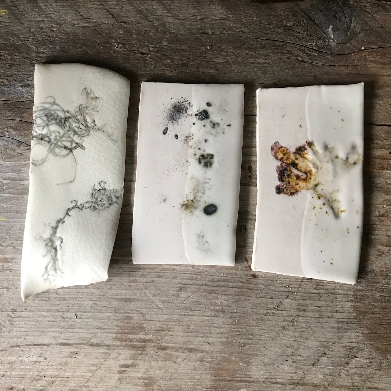 ElaineSBolt_Porcelainimpressions_class_IMG_7899.jpeg