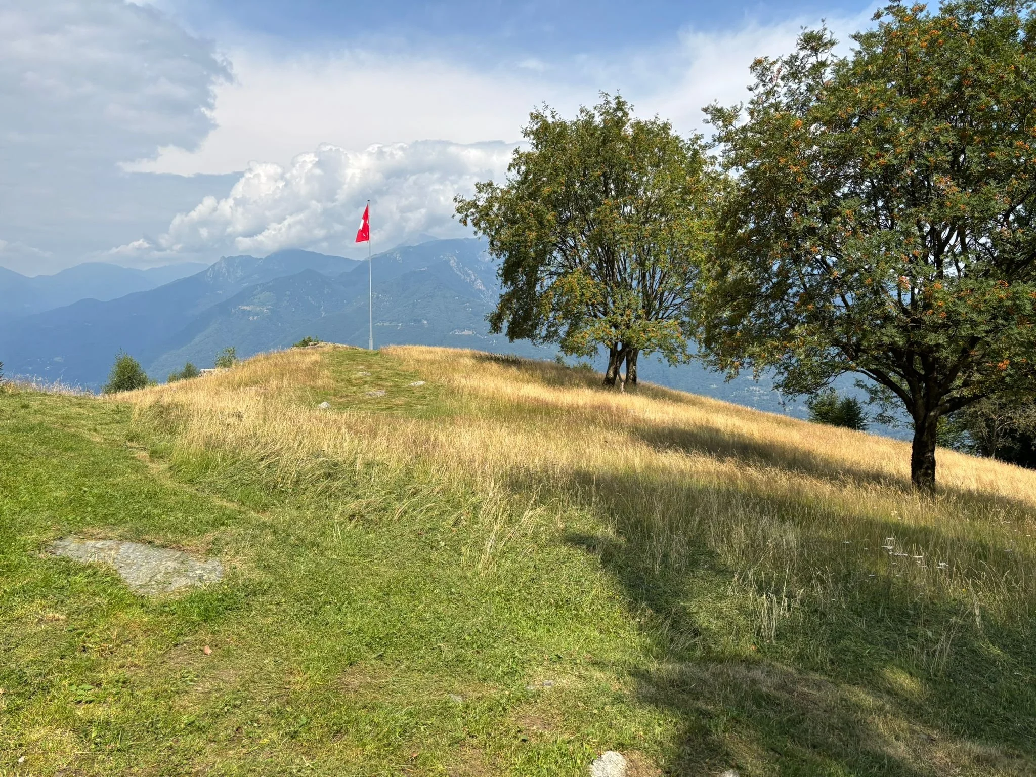 Immagine WhatsApp 2025-07-19 ore 21.43.39_2b25161e.jpg