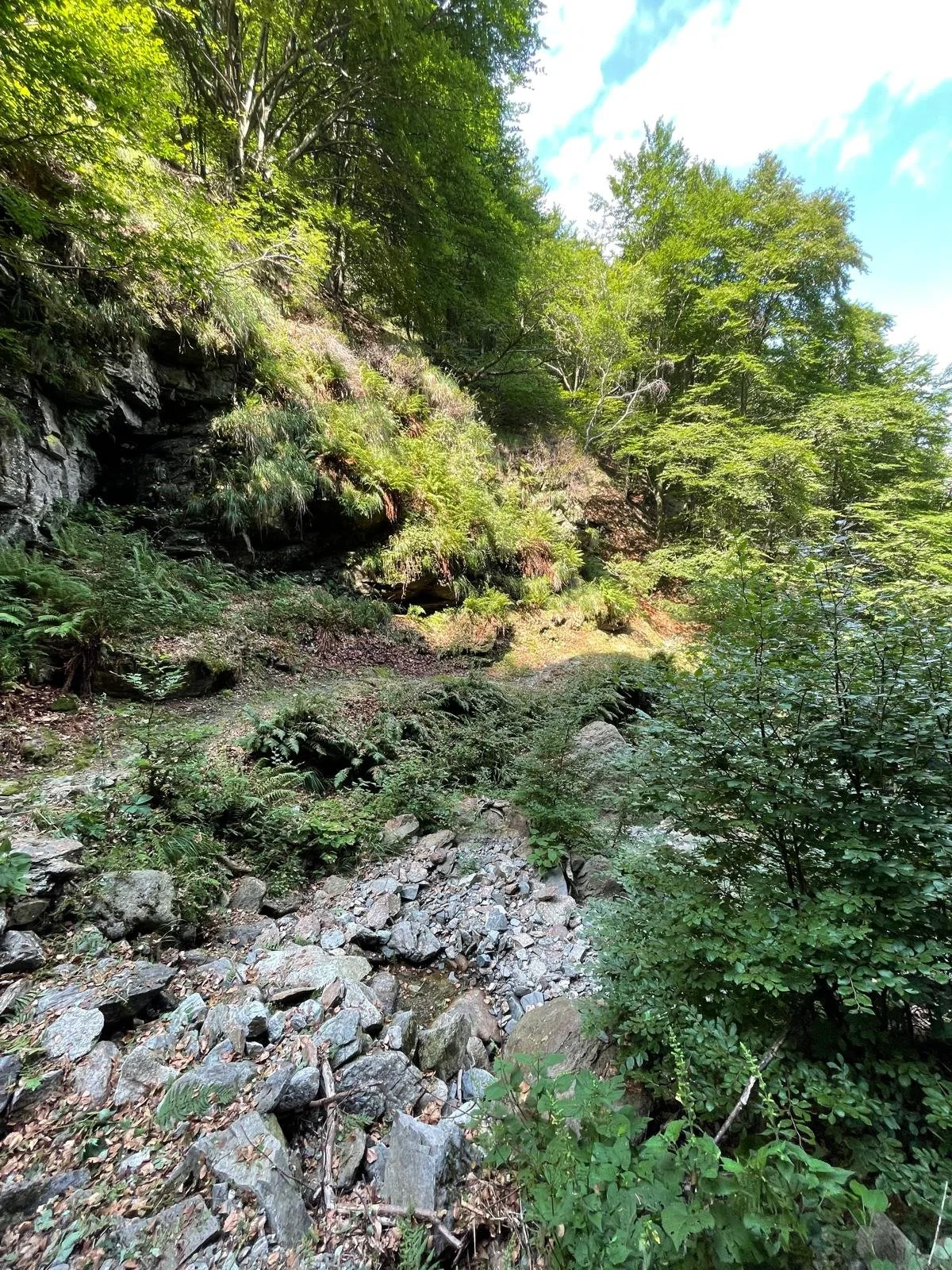 Immagine WhatsApp 2025-07-19 ore 21.51.56_97bc0dcc.jpg