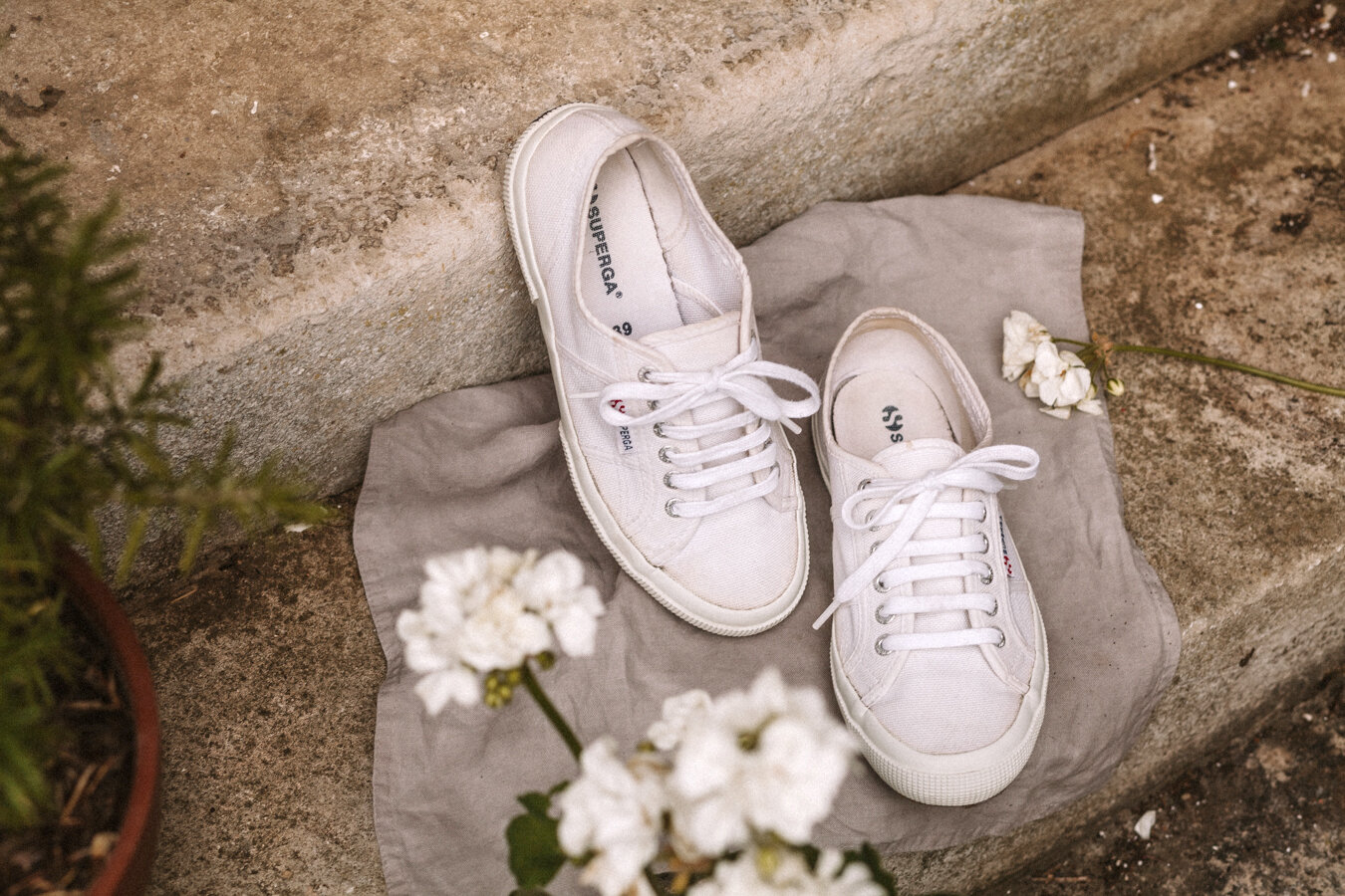 Clean Canvas Trainers in a Natural Way 