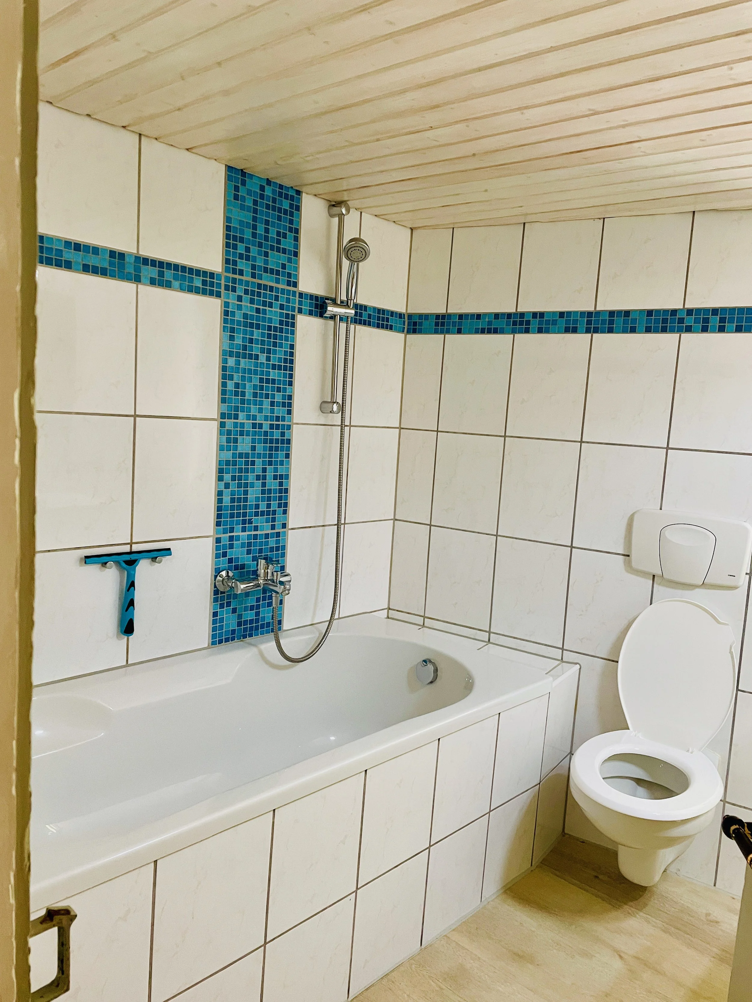 Casa Bene Immobilien Immobilienmakler Immobilienbewertung Makler Emel Marjanovic Alex Marjanovic Haus Wohnung Verkauf Vermietung Ringgenberg Haus Projekt 1894 Badezimmer