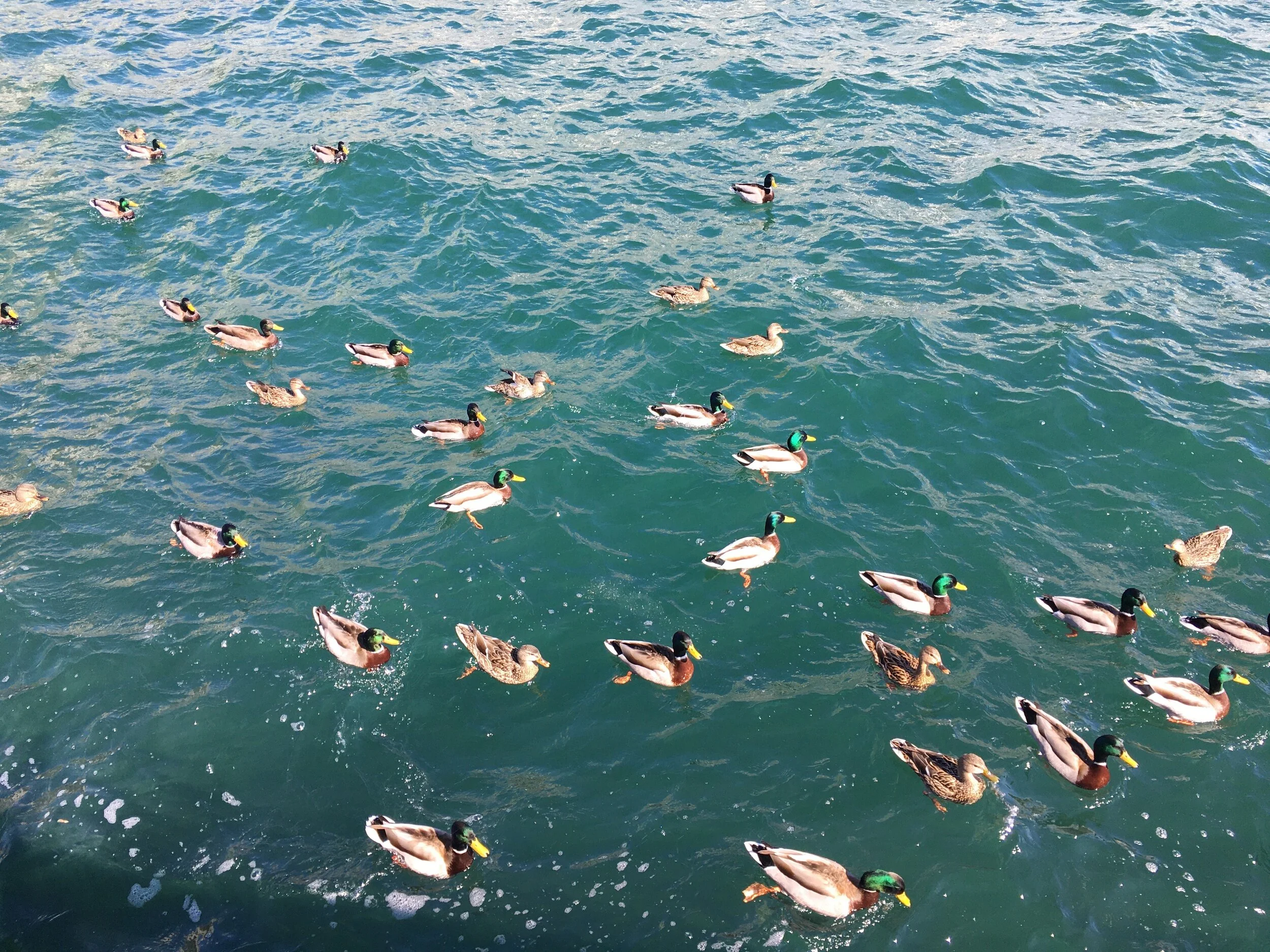 Time to gather up again