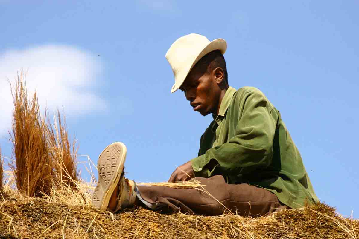 Lesotho Child Counselling Unit - 2.jpg